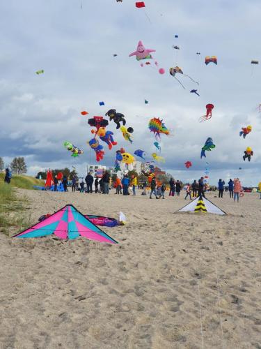 Drachenfest auf Fehmarn