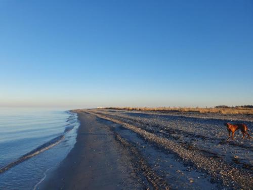 Niobe Strand